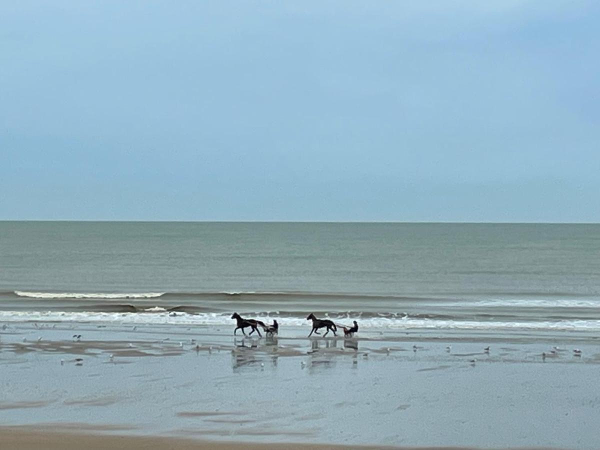 Agréable 2 pièces. Face à la mer. Cabourg Exterior foto